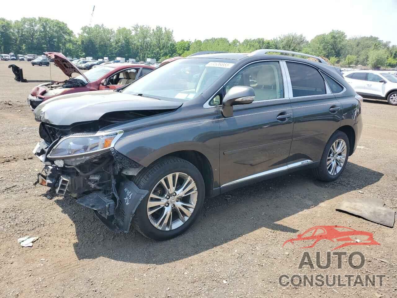 LEXUS RX450 2010 - JTJBC1BA1A2022071
