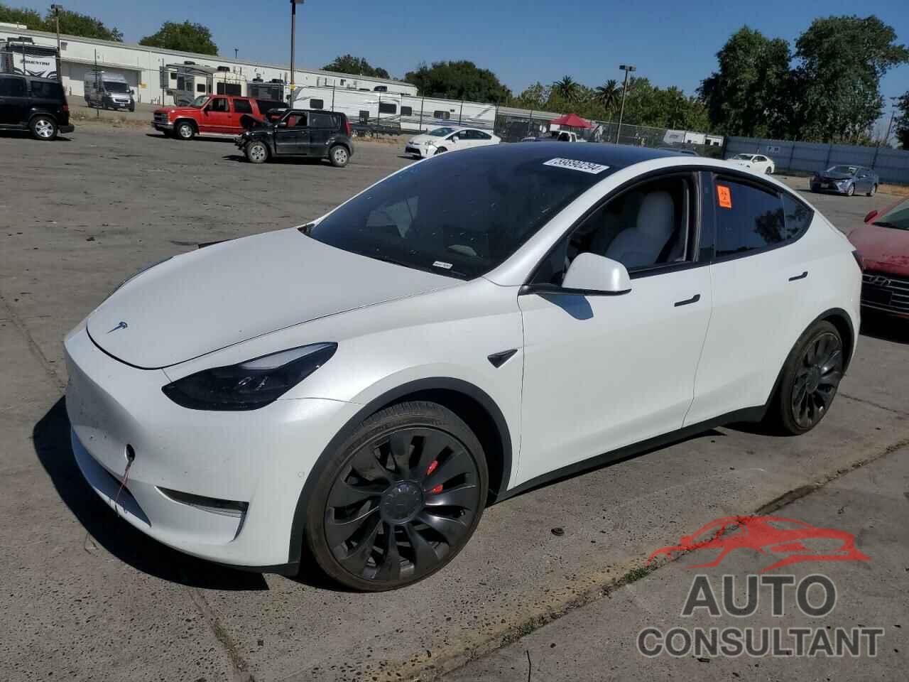 TESLA MODEL Y 2022 - 7SAYGDEF7NF340910