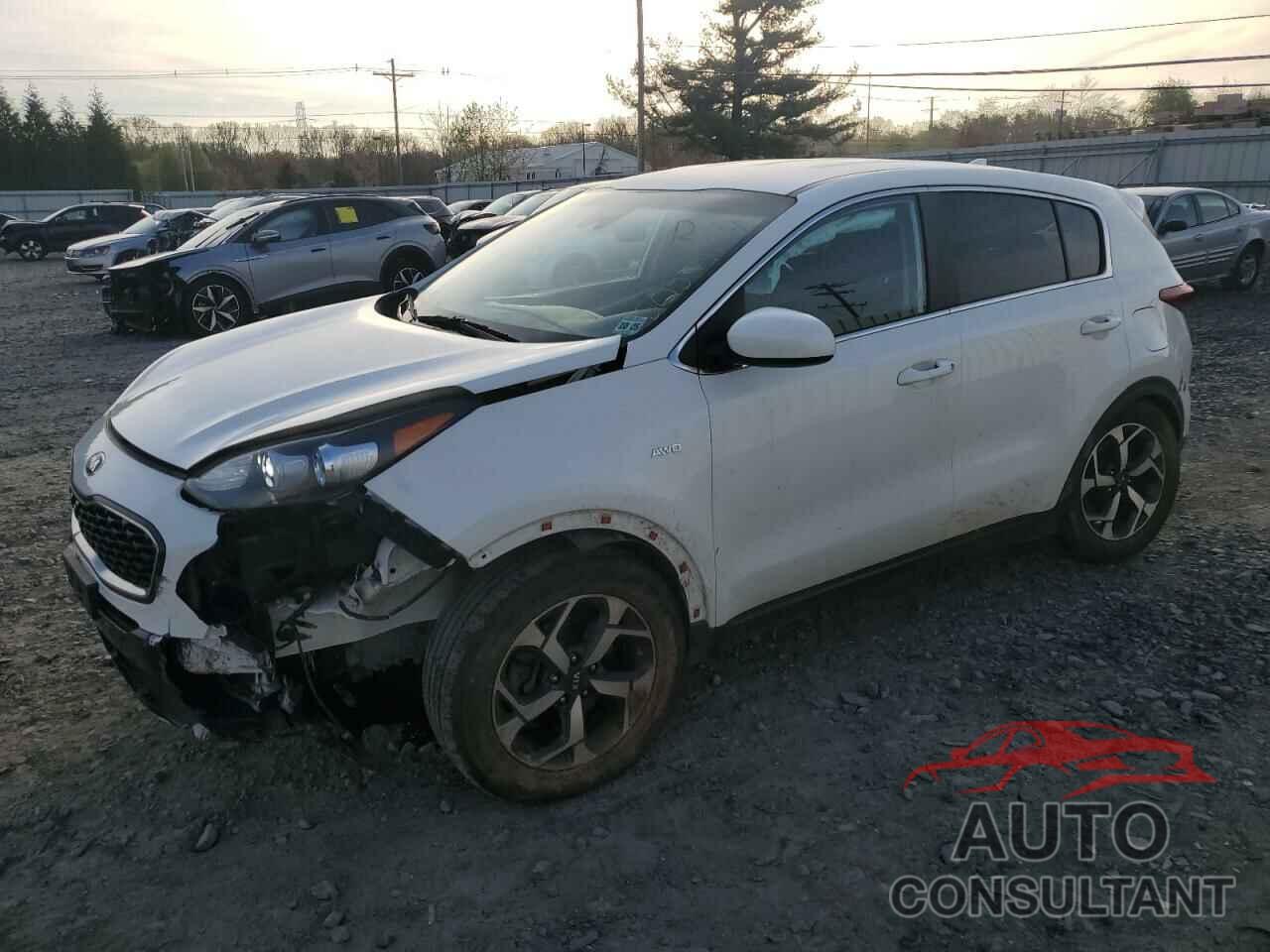 KIA SPORTAGE 2020 - KNDPMCACXL7667053