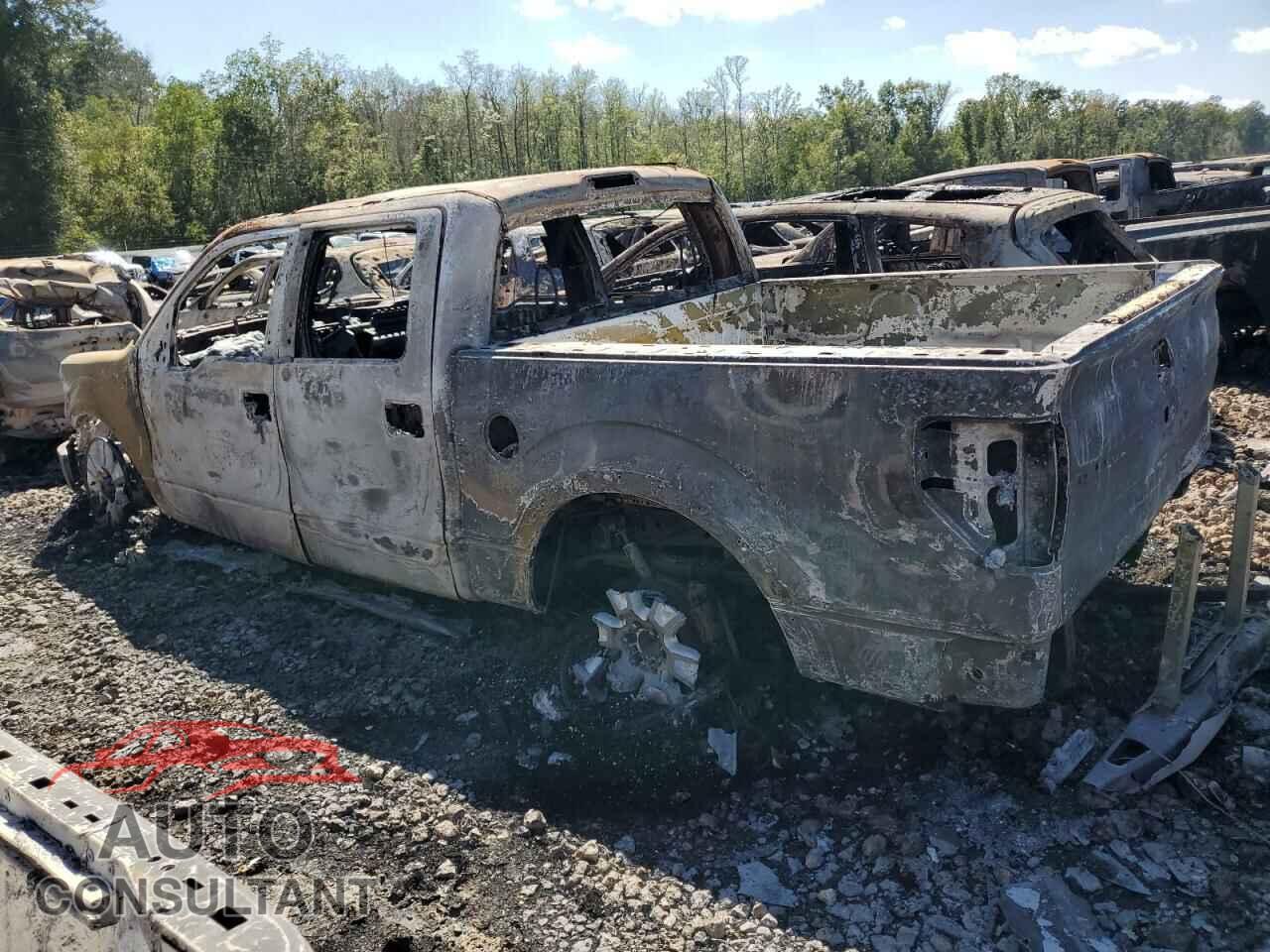 FORD F-150 2010 - 1FTFW1EVXAKE41367