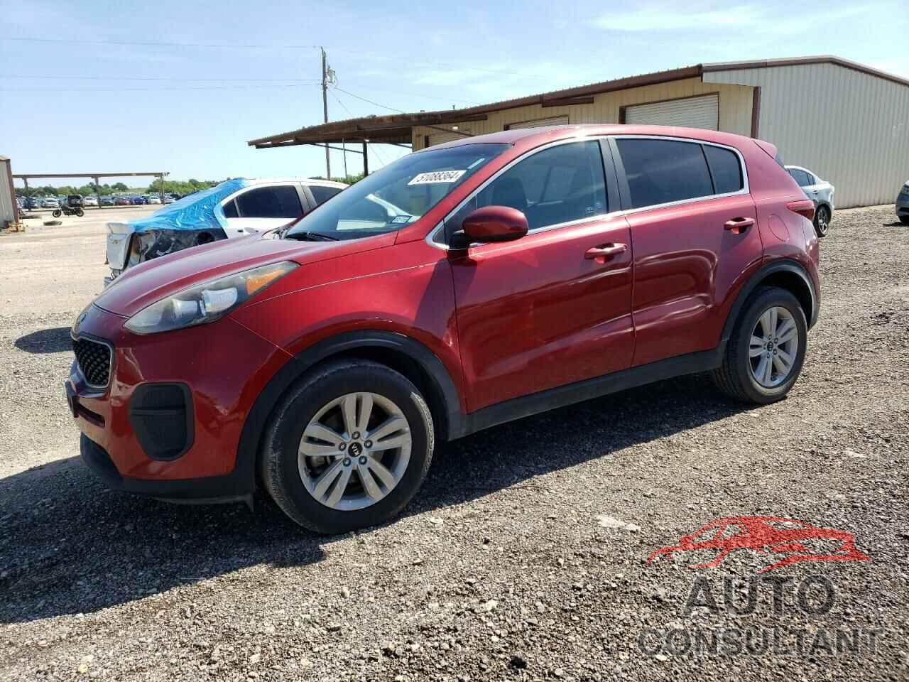 KIA SPORTAGE 2017 - KNDPM3AC6H7135743
