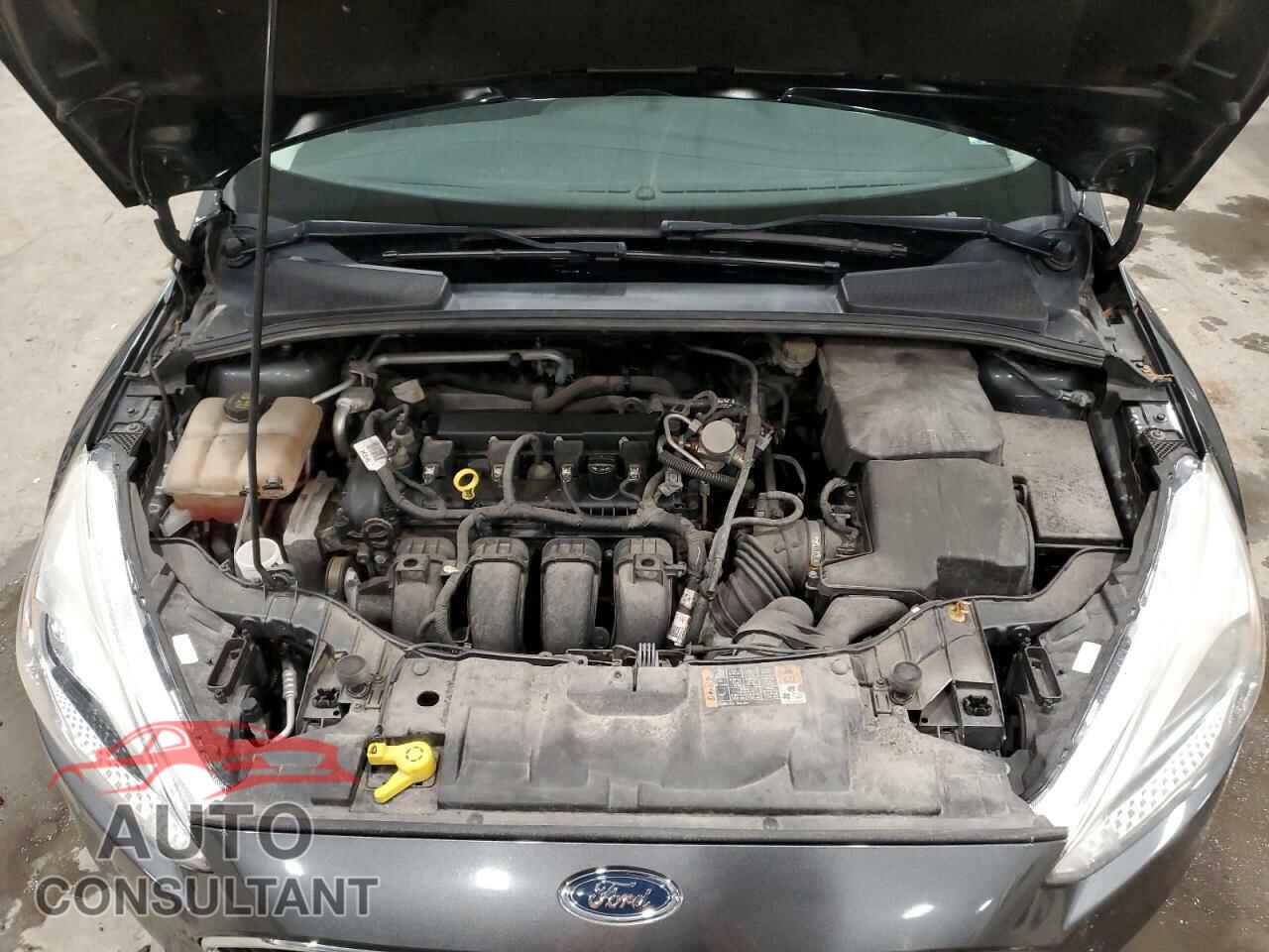 FORD FOCUS 2016 - 1FADP3K20GL384826