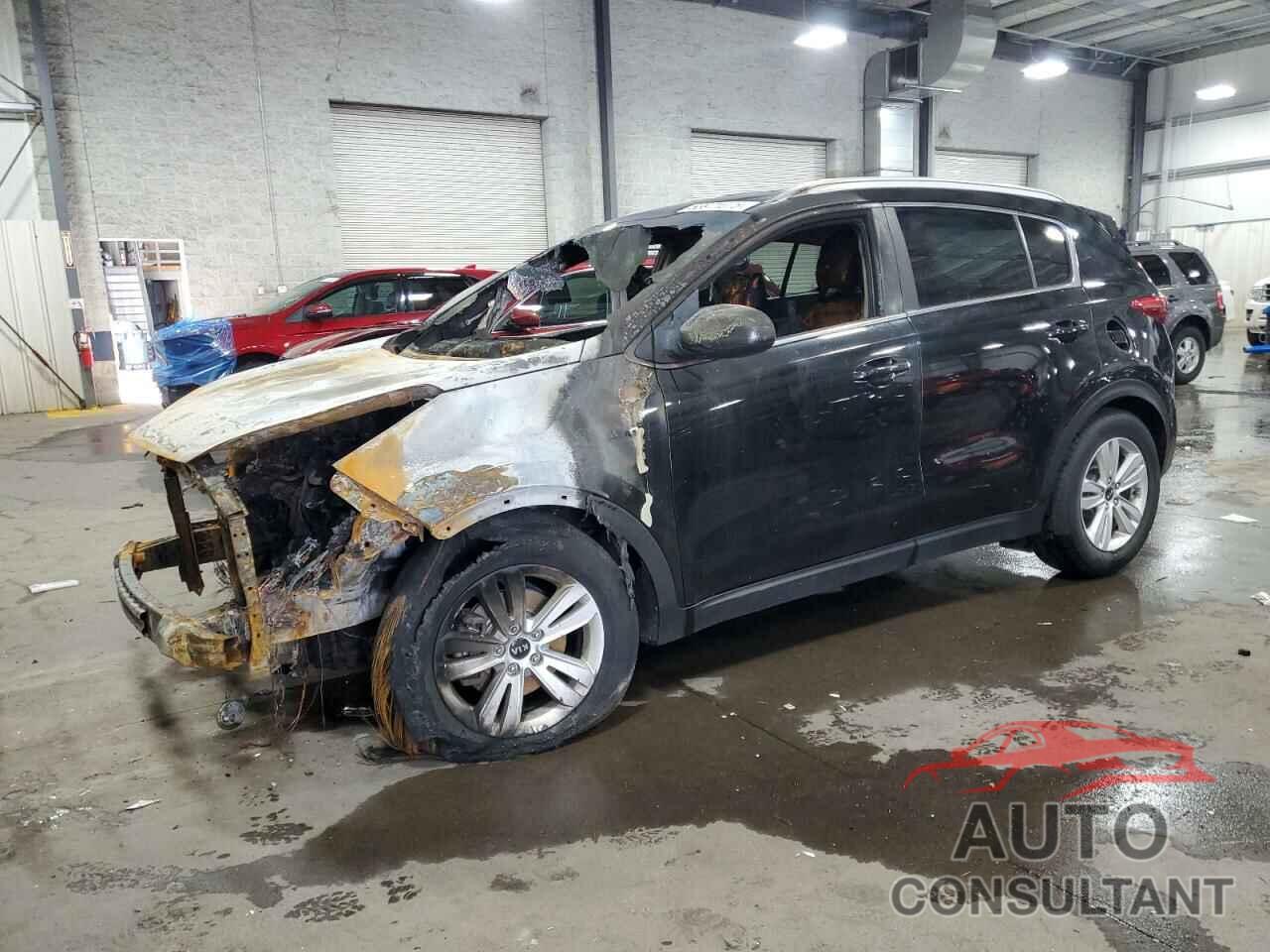 KIA SPORTAGE 2017 - KNDPMCAC8H7237805