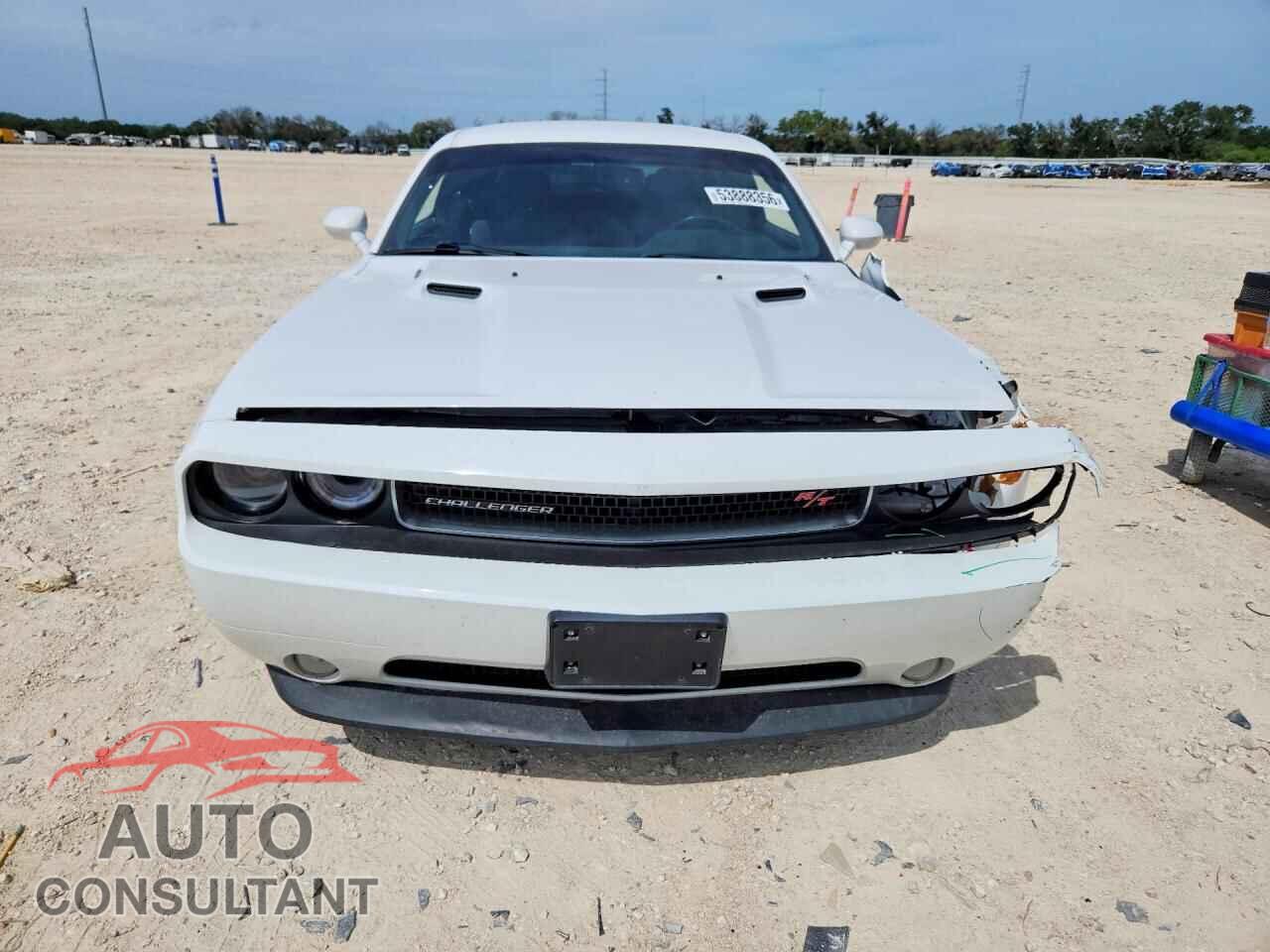 DODGE CHALLENGER 2013 - 2C3CDYBT3DH667898