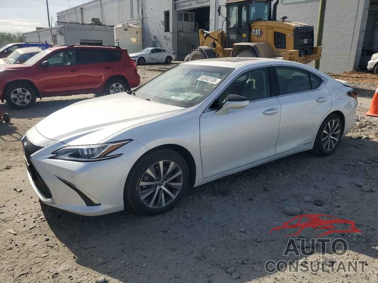 LEXUS ES300 2021 - 58ADA1C1XMU012782