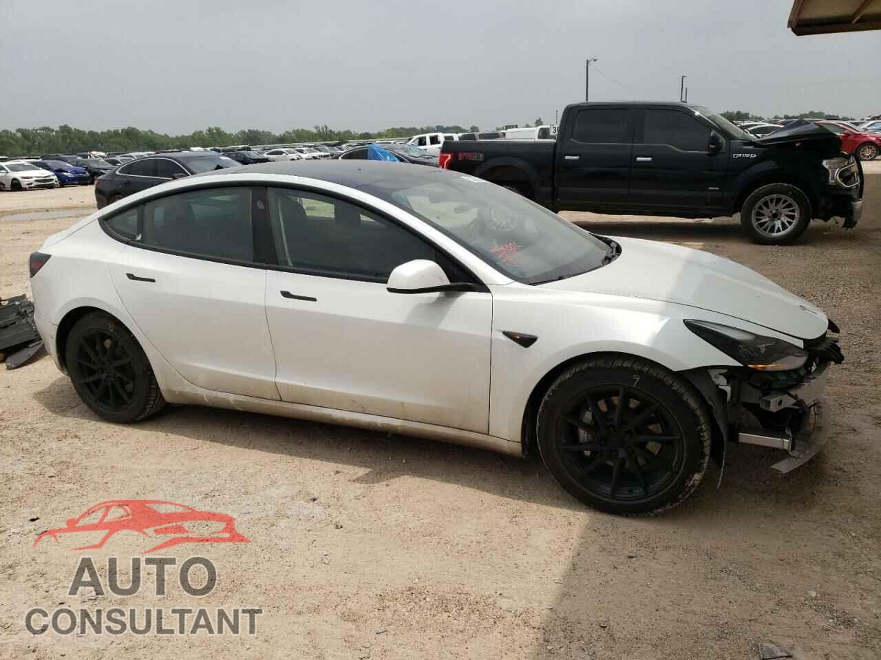 TESLA MODEL 3 2021 - 5YJ3E1EA9MF913319