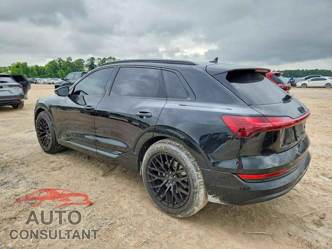 AUDI E-TRON 2019 - WA1VAAGE8KB009458