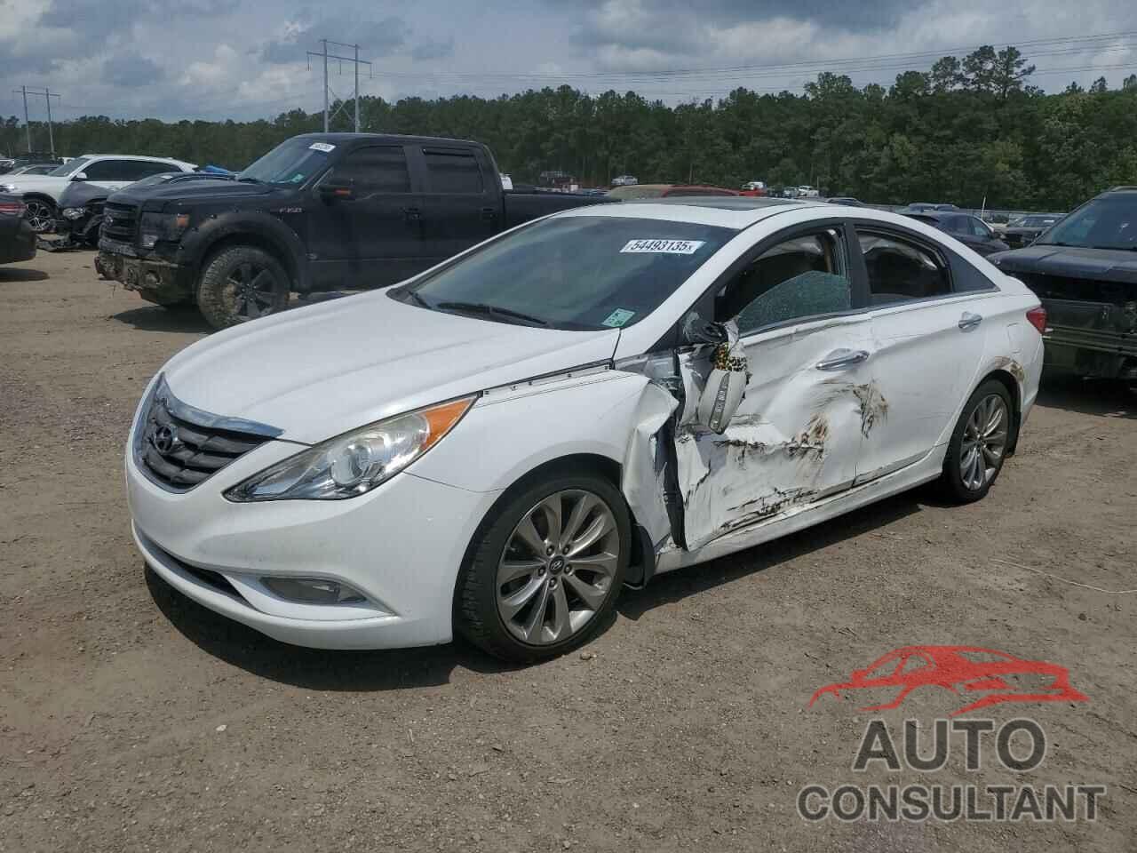HYUNDAI SONATA 2013 - 5NPEC4AB7DH575385