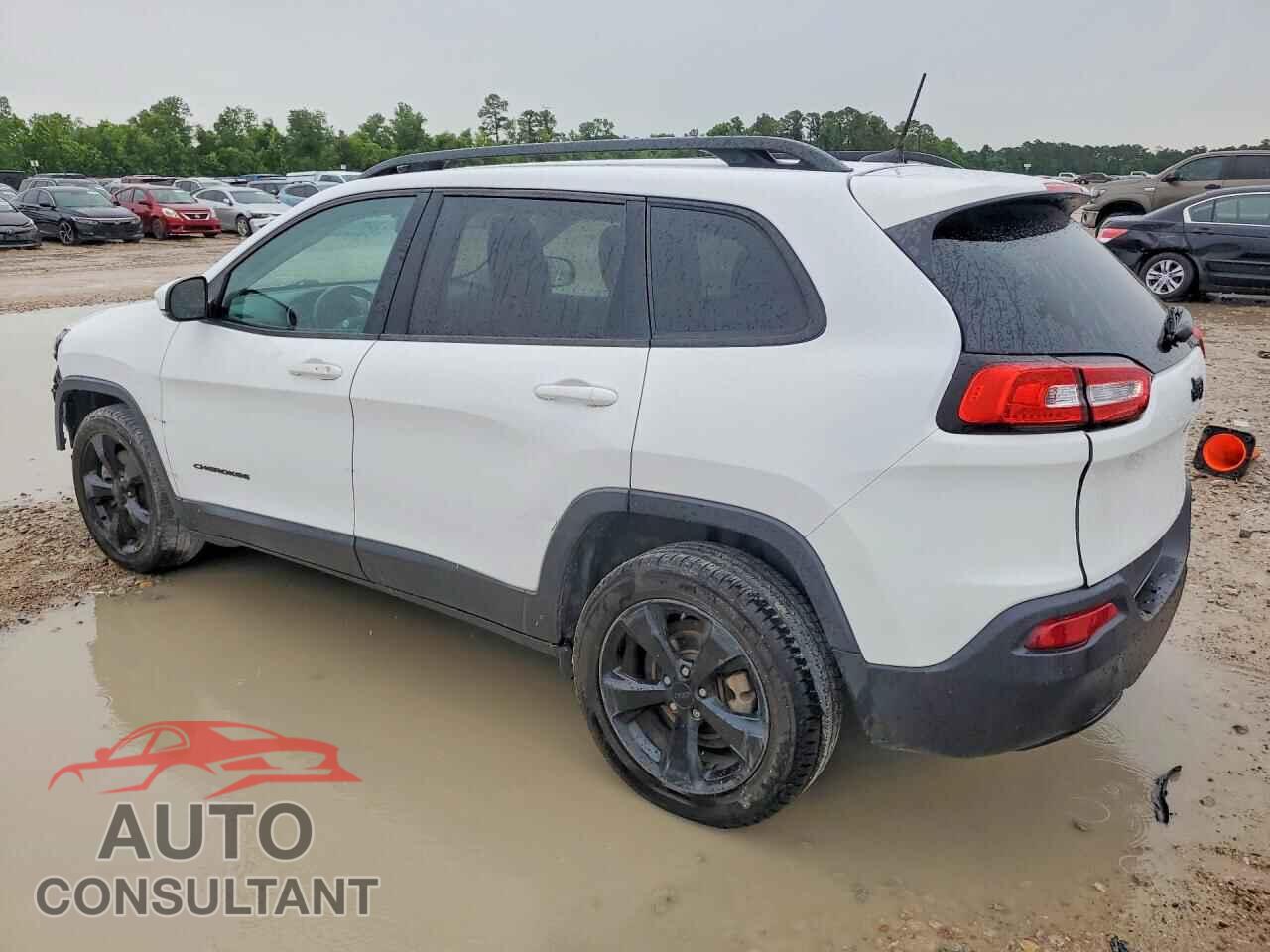 JEEP CHEROKEE 2017 - 1C4PJLDB3HD236591
