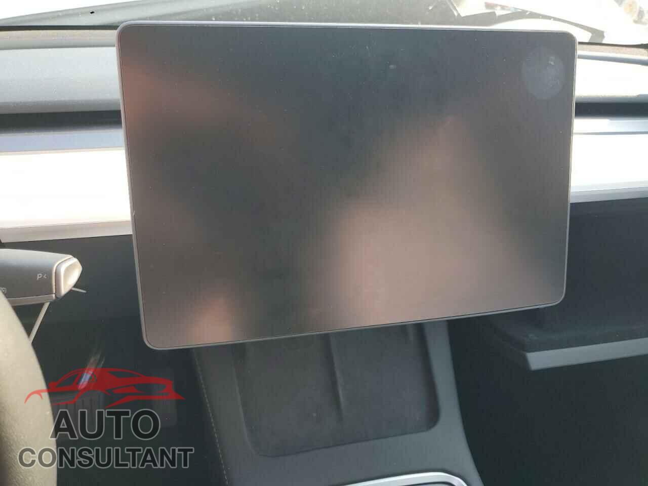 TESLA MODEL Y 2024 - 7SAYGAEEXRF109995