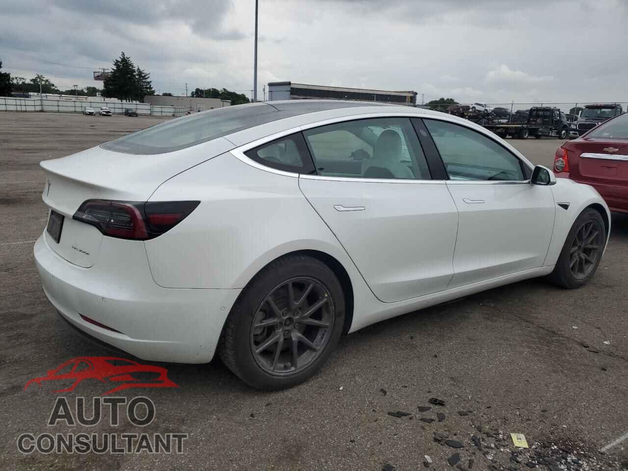 TESLA MODEL 3 2019 - 5YJ3E1EB8KF406806