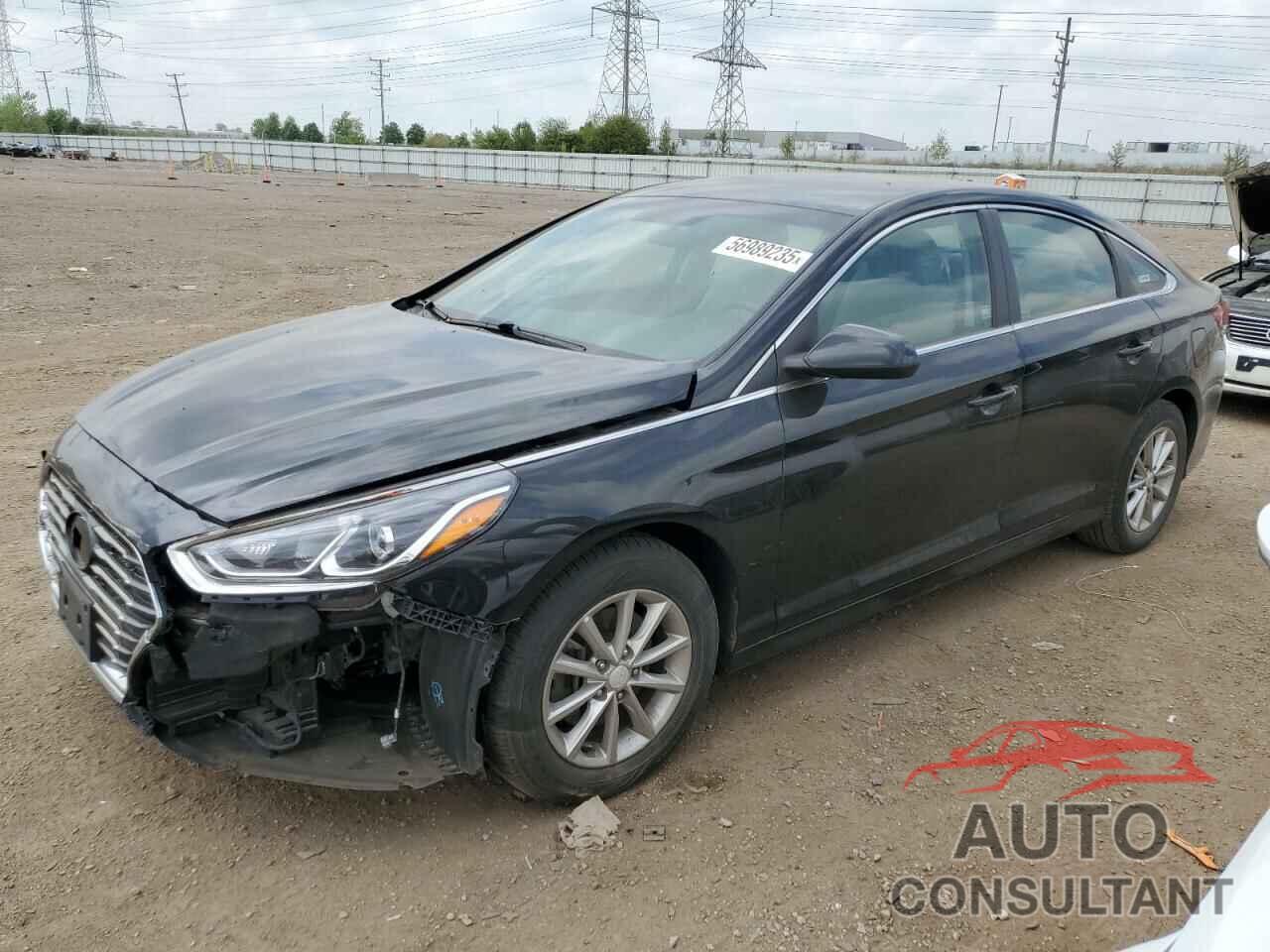 HYUNDAI SONATA 2019 - 5NPE24AF3KH769267