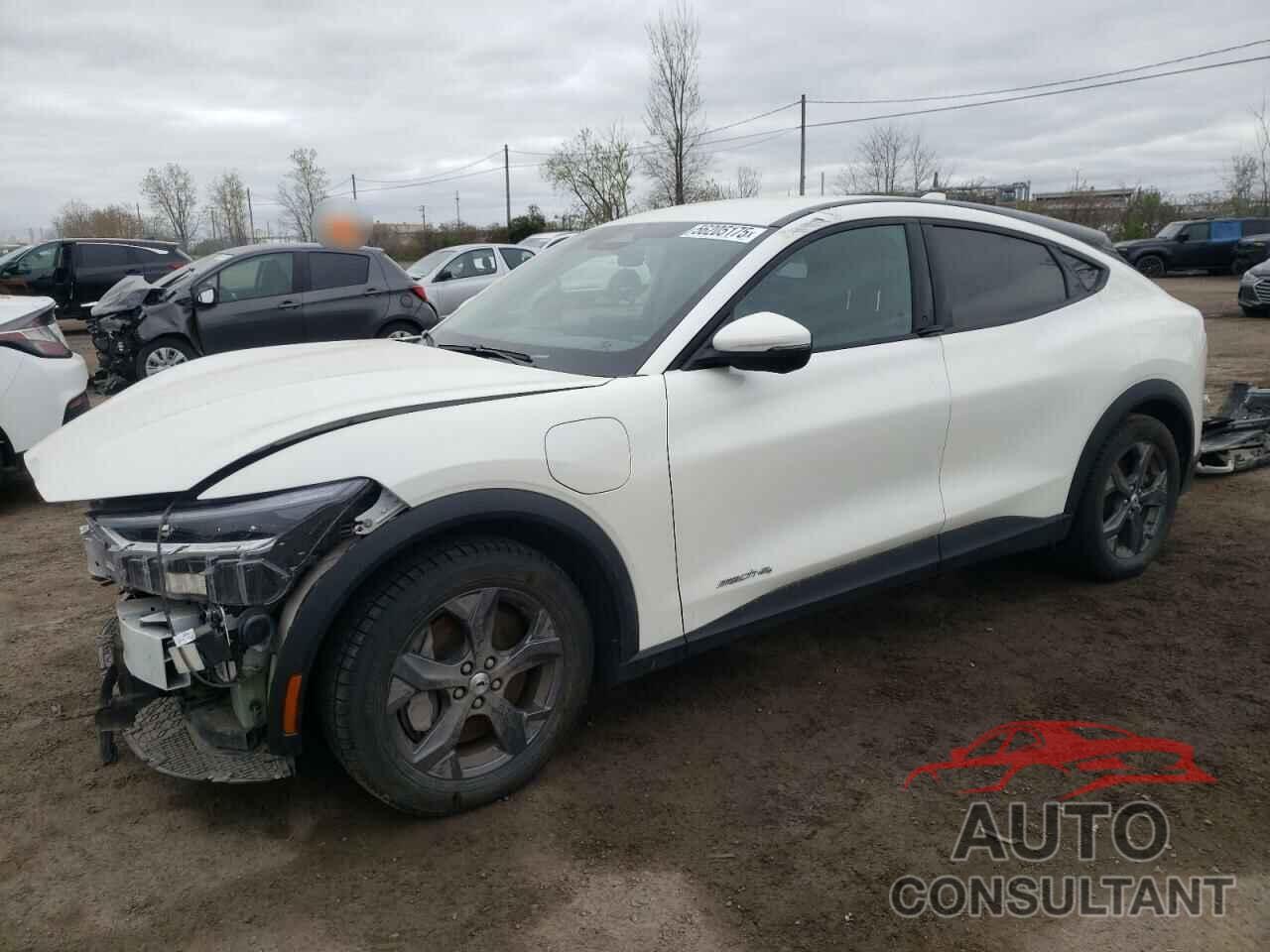 FORD MUSTANG 2022 - 3FMTK1SS1NMA48621