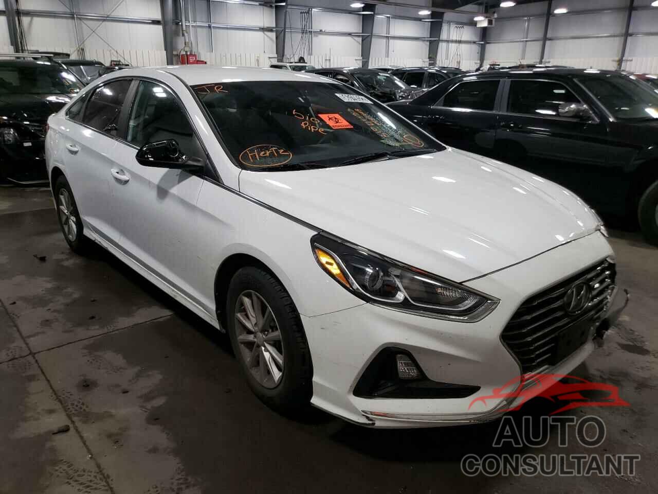 HYUNDAI SONATA 2019 - 5NPE24AF8KH775890
