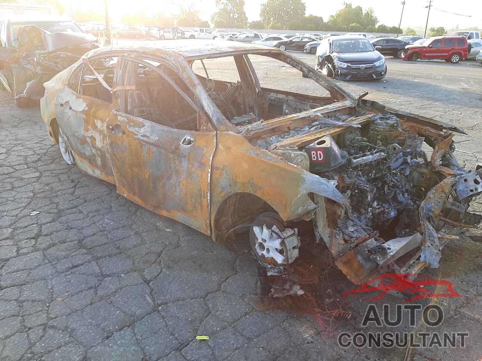 TOYOTA CAMRY 2019 - 4T1B11HKXKU237197