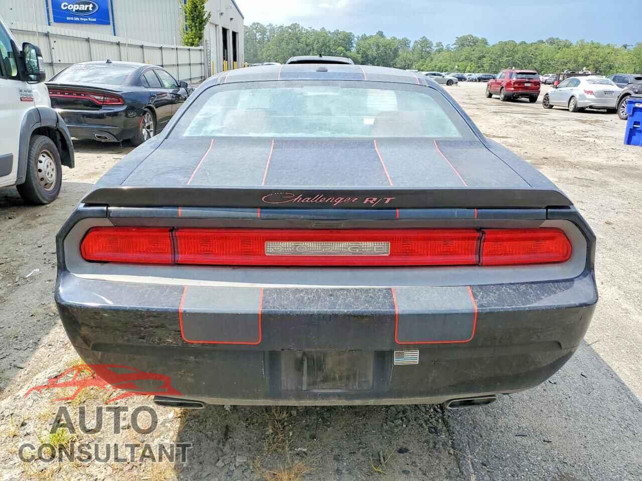 DODGE CHALLENGER 2013 - 2C3CDYBT5DH685657