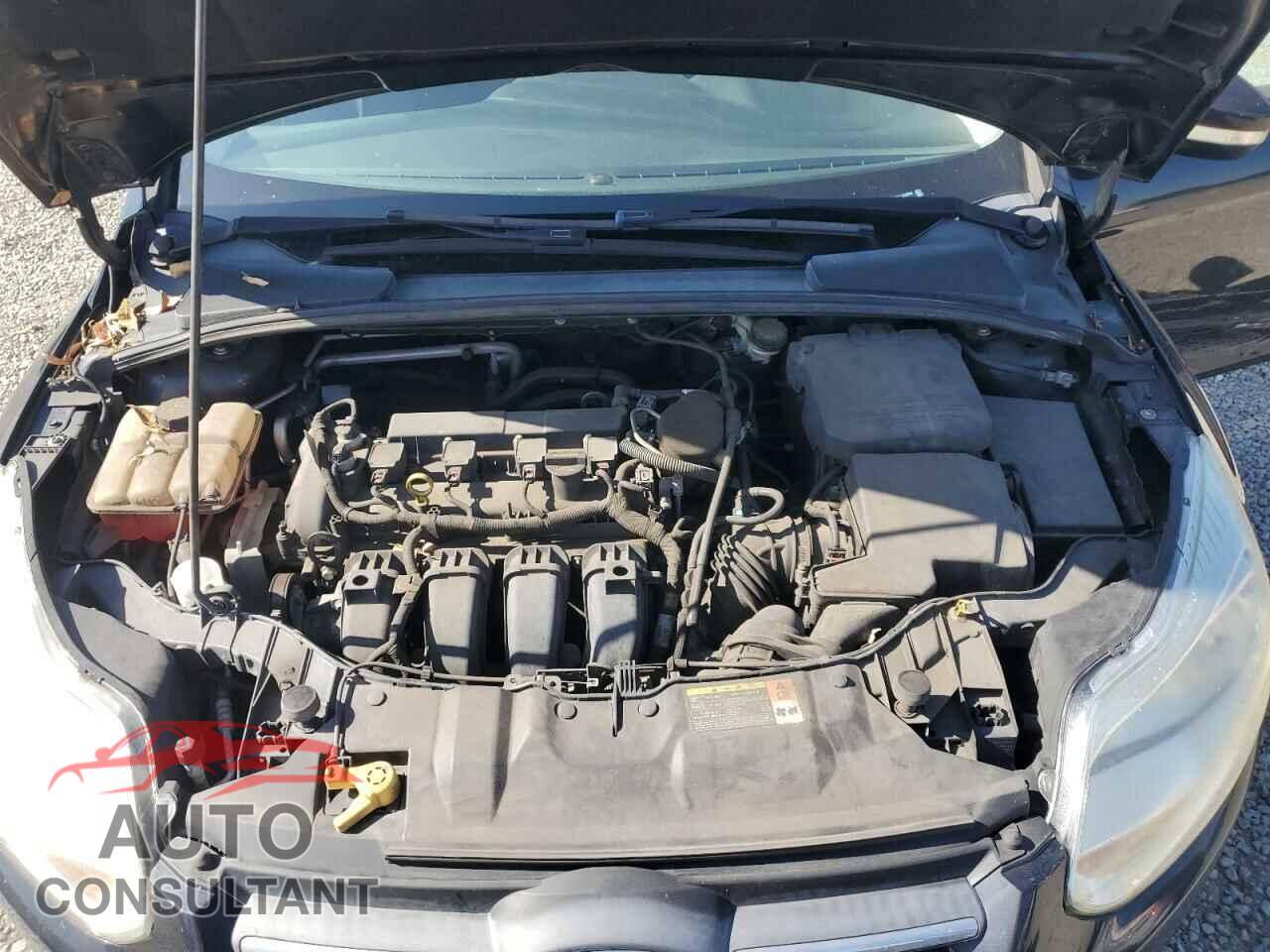 FORD FOCUS 2014 - 1FADP3F2XEL122044