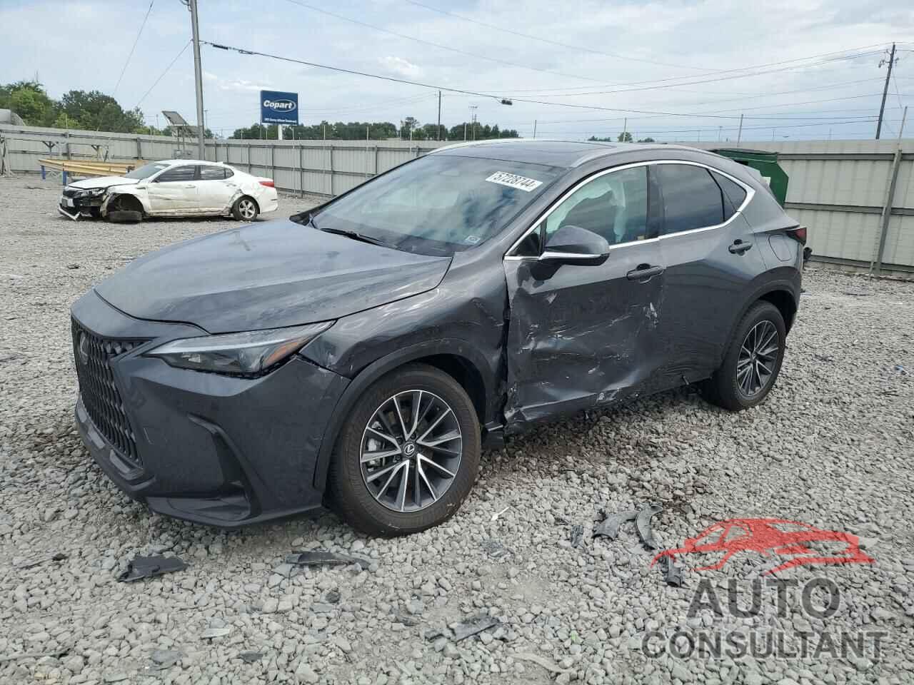 LEXUS NX 250 PRE 2024 - 2T2GDCAZ7RC011156