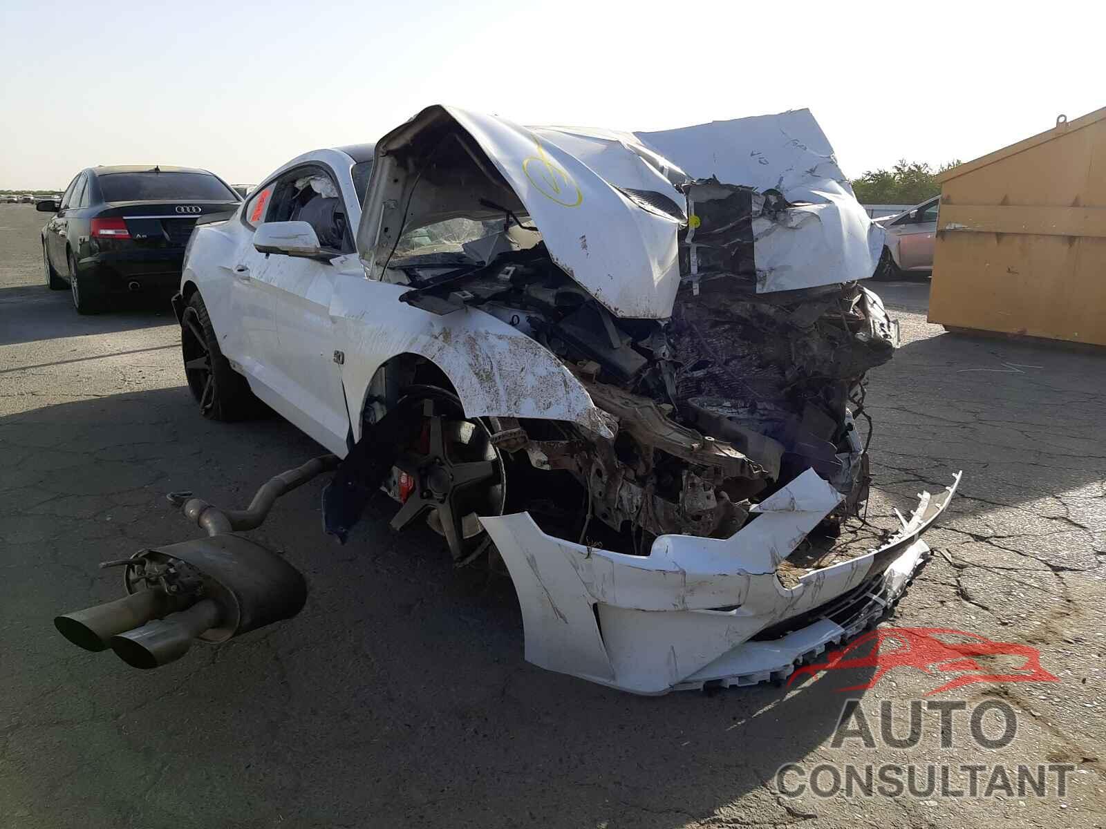 FORD MUSTANG 2019 - 1FA6P8CF1K5135505