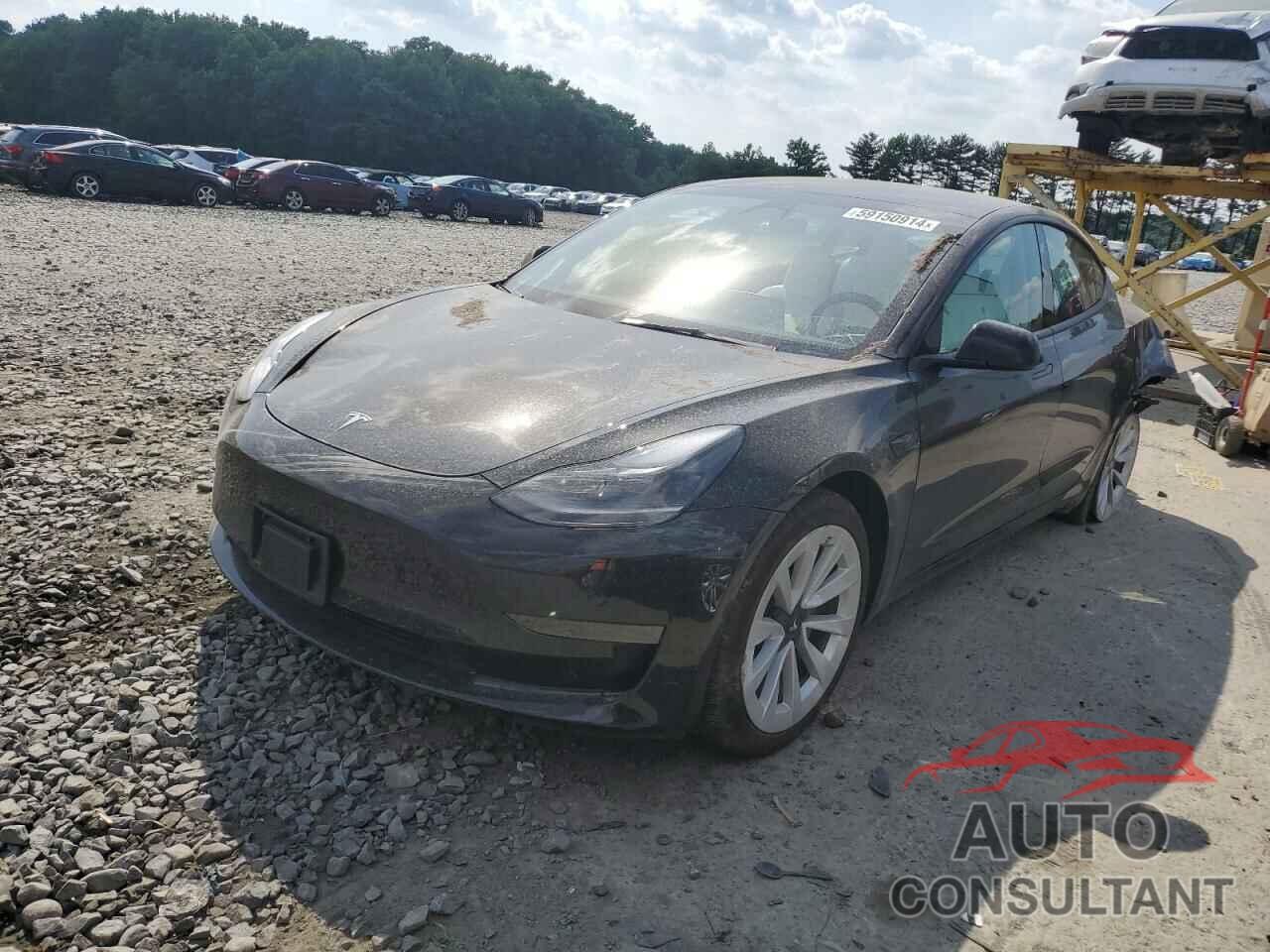 TESLA MODEL 3 2023 - 5YJ3E1EAXPF549903