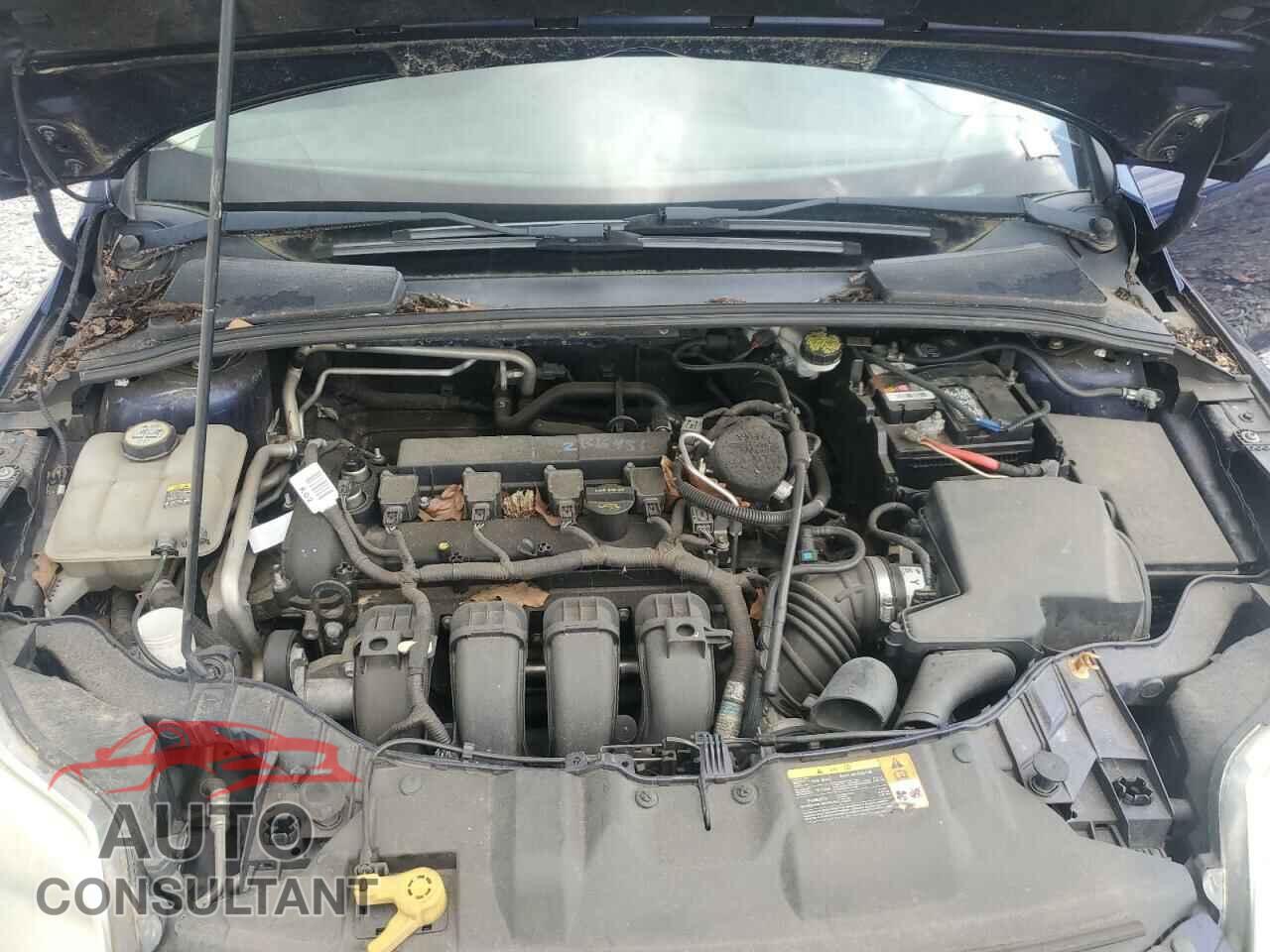 FORD FOCUS 2012 - 1FAHP3F20CL164382