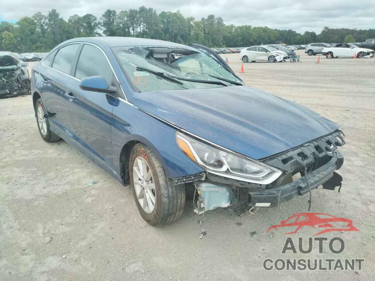 HYUNDAI SONATA 2019 - 5NPE24AF8KH747166
