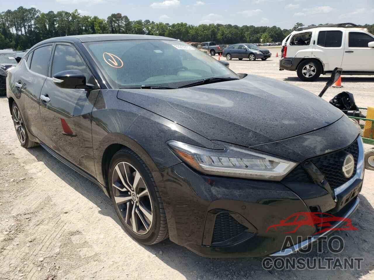 NISSAN MAXIMA 2019 - 1N4AA6AV0KC383413