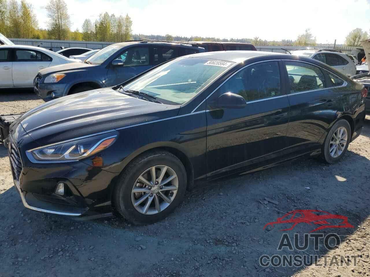 HYUNDAI SONATA 2019 - 5NPE24AF3KH819147