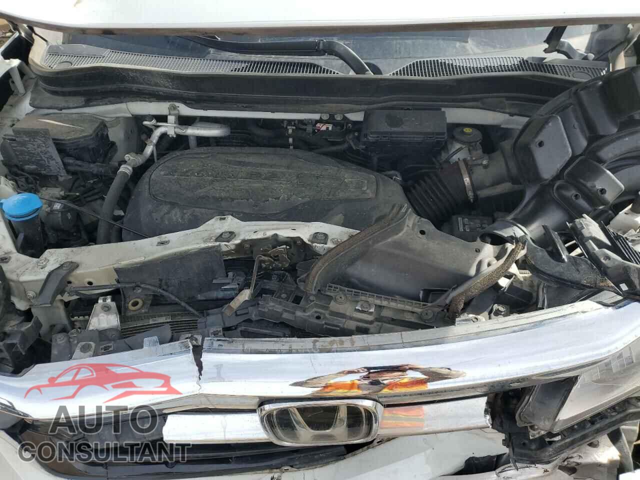 HONDA PILOT 2021 - 5FNYF6H94MB047188