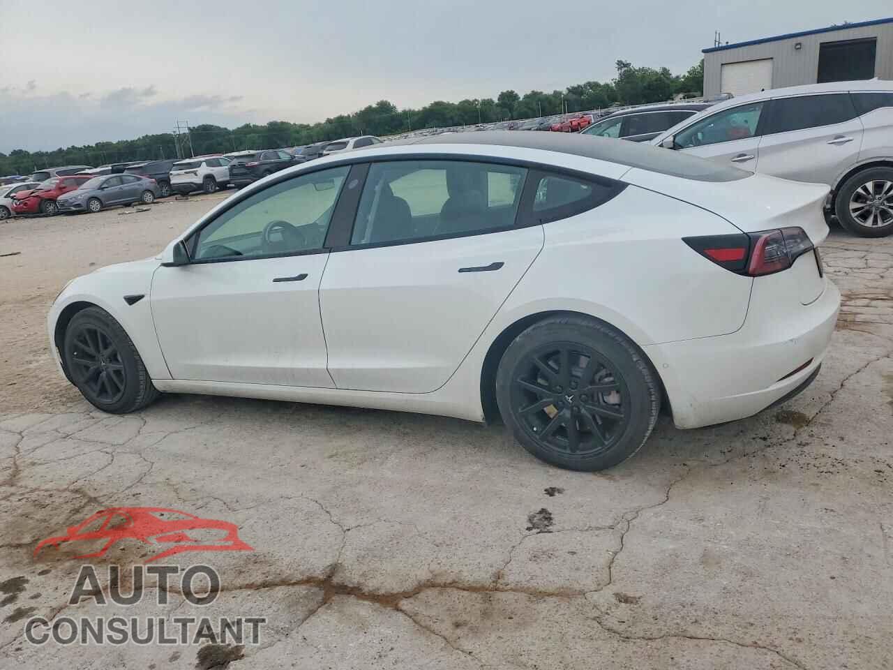 TESLA MODEL 3 2022 - 5YJ3E1EA3NF190021