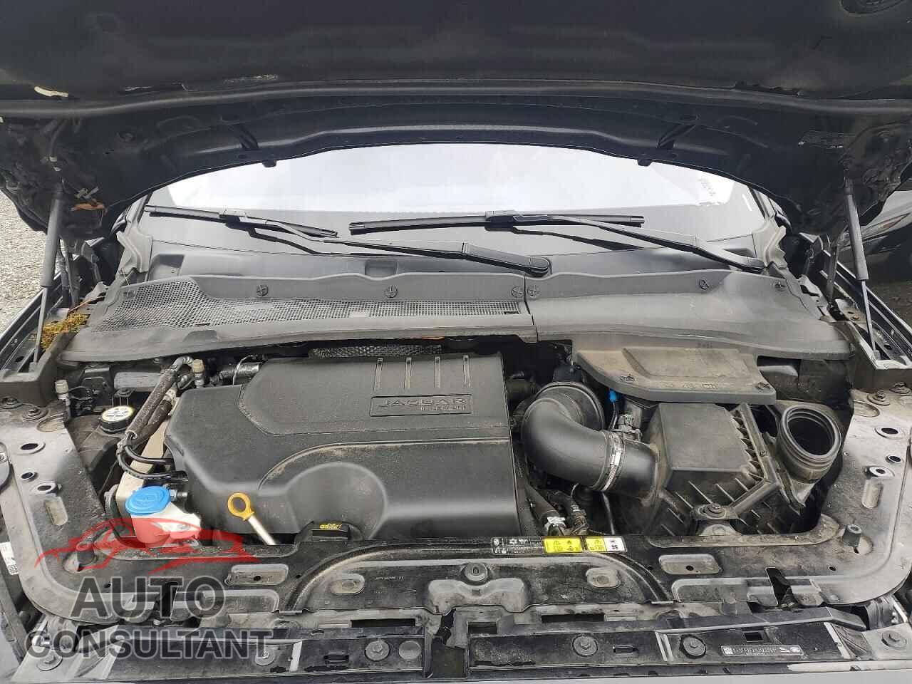 JAGUAR ETYPE 2018 - SADFP2FX1J1Z32911