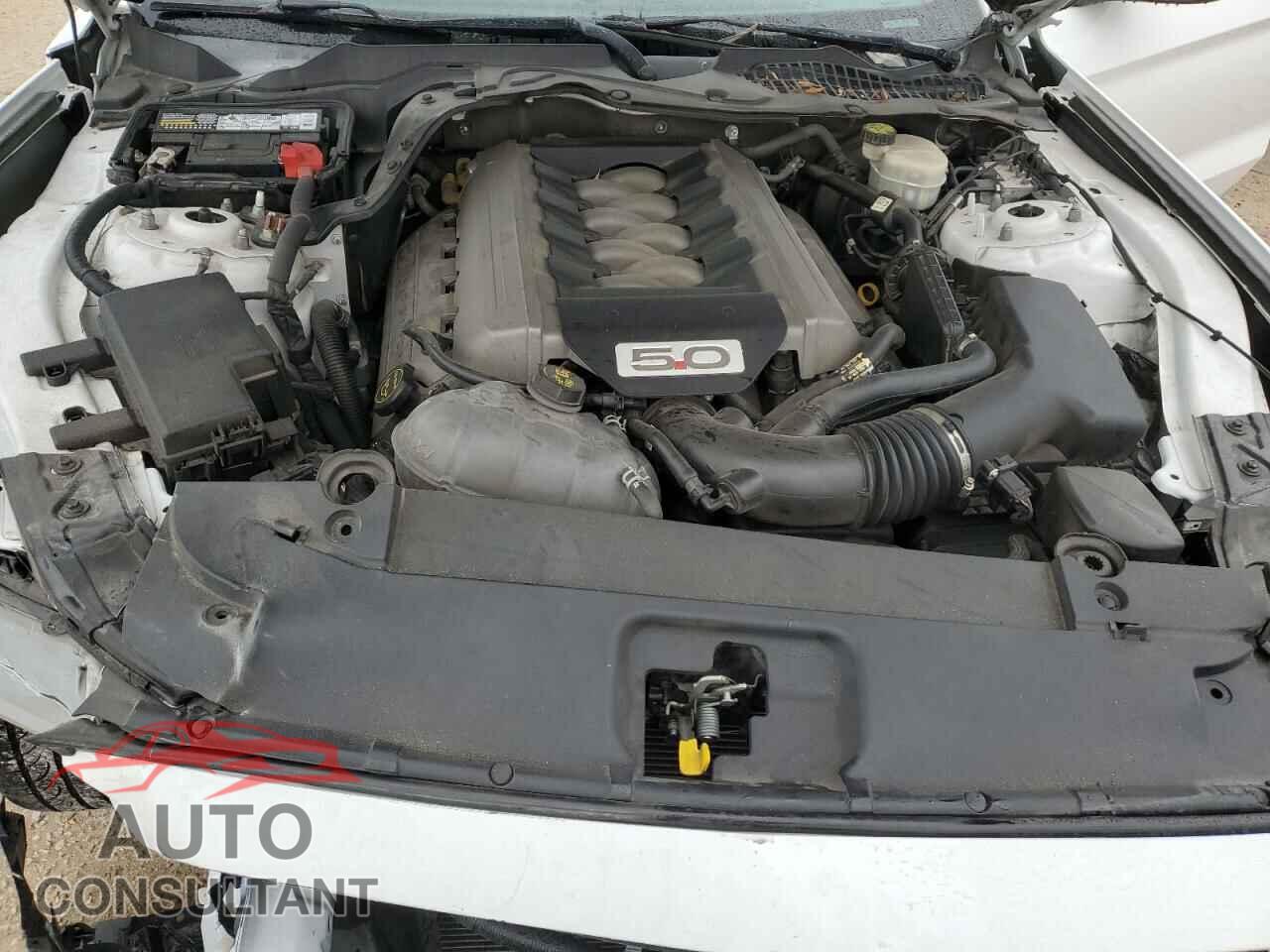 FORD MUSTANG 2017 - 1FA6P8CF9H5290926