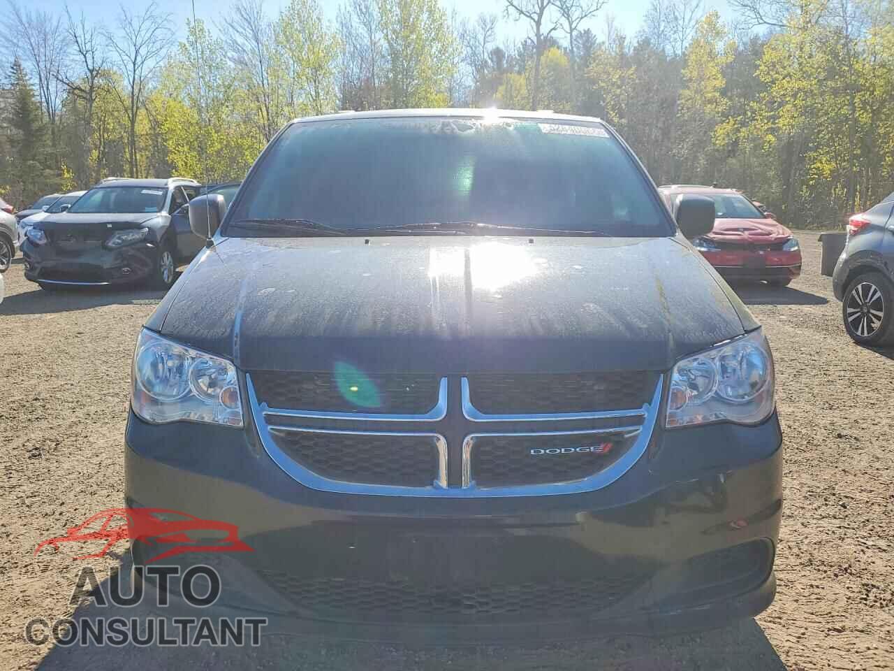 DODGE CARAVAN 2020 - 2C4RDGBG9LR256100