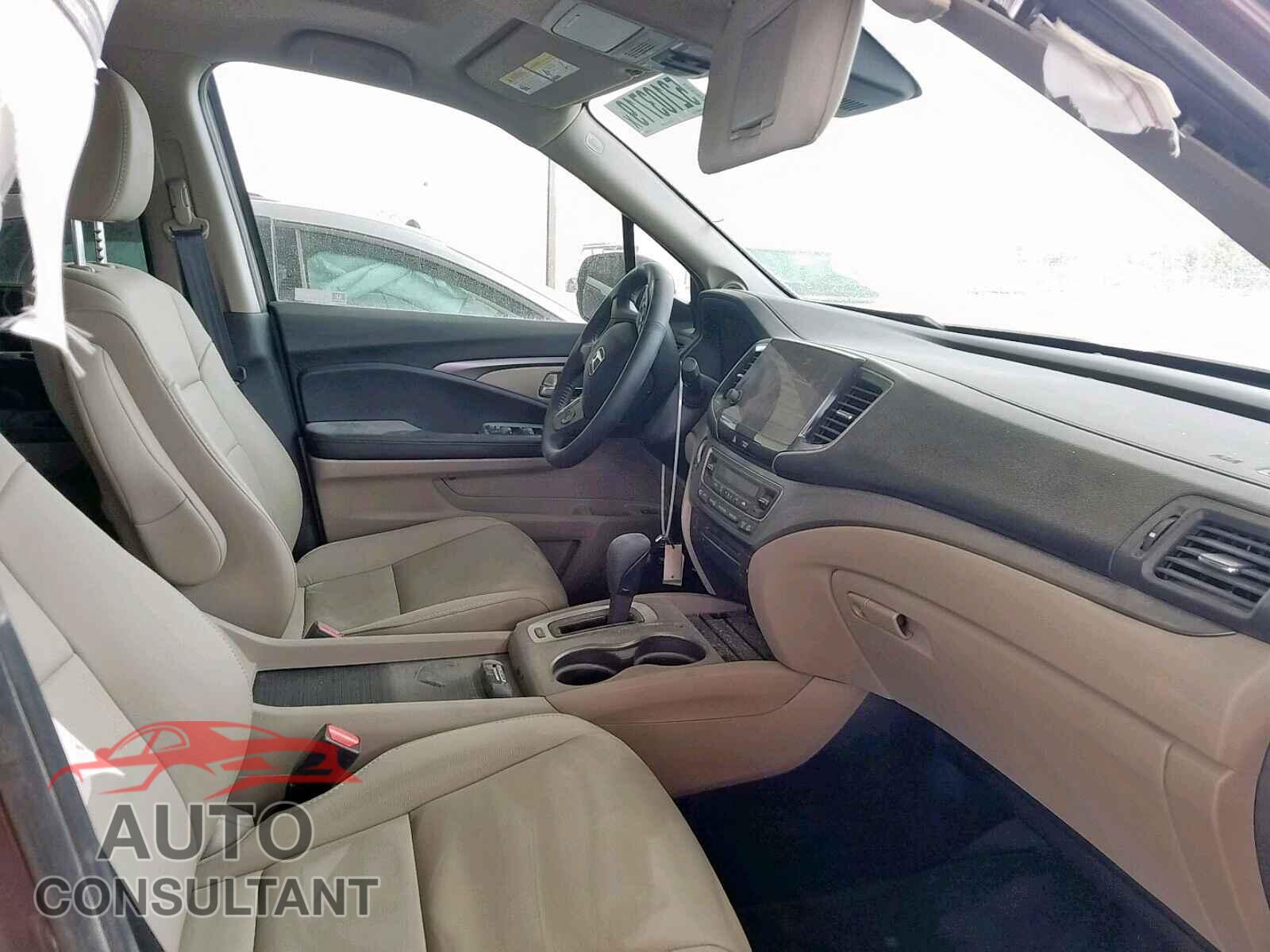 HONDA PILOT 2019 - 5FNYF5H52KB026960