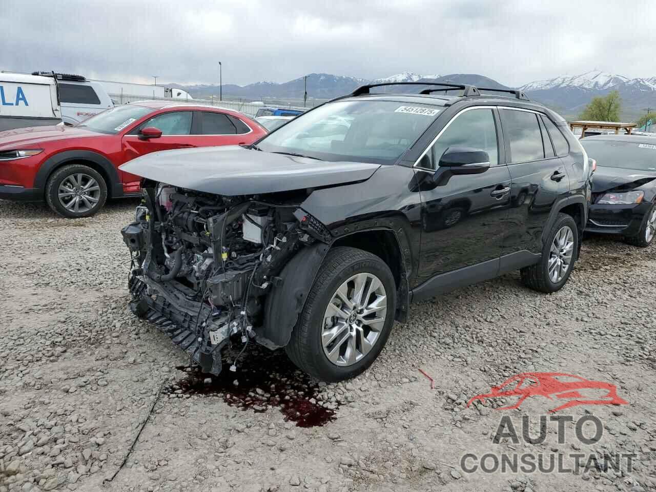 TOYOTA RAV4 2024 - 2T3A1RFV2RC451305