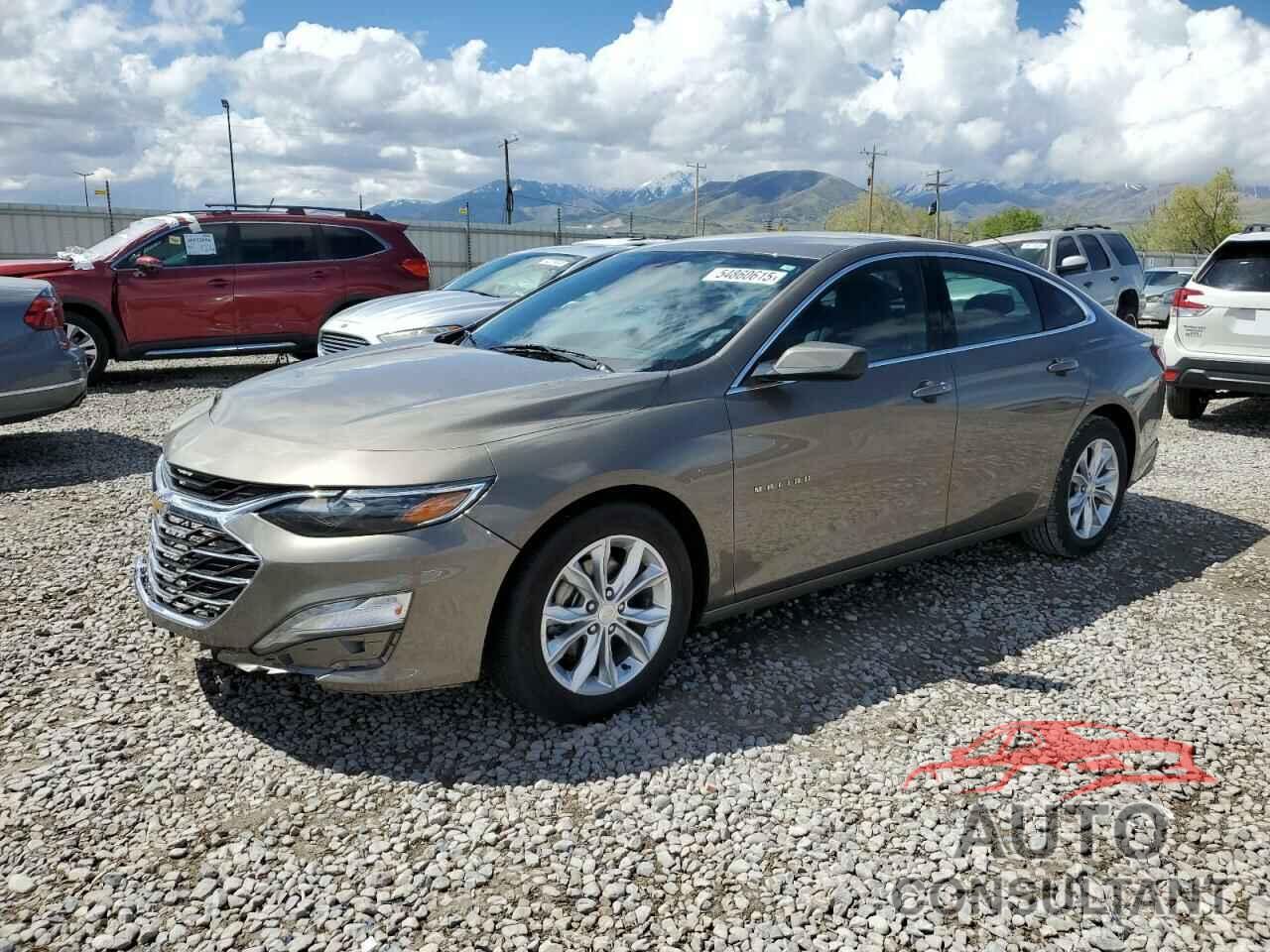 CHEVROLET MALIBU 2020 - 1G1ZD5ST8LF019065