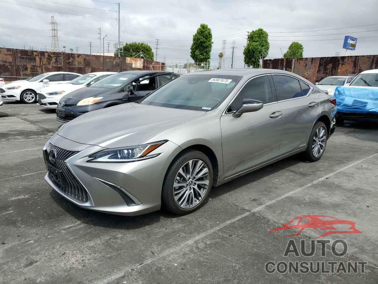LEXUS ES300 2021 - 58ADA1C16MU001262