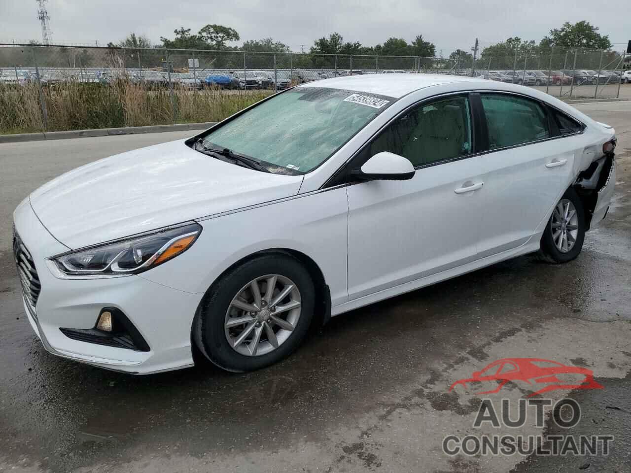 HYUNDAI SONATA 2019 - 5NPE24AFXKH812387