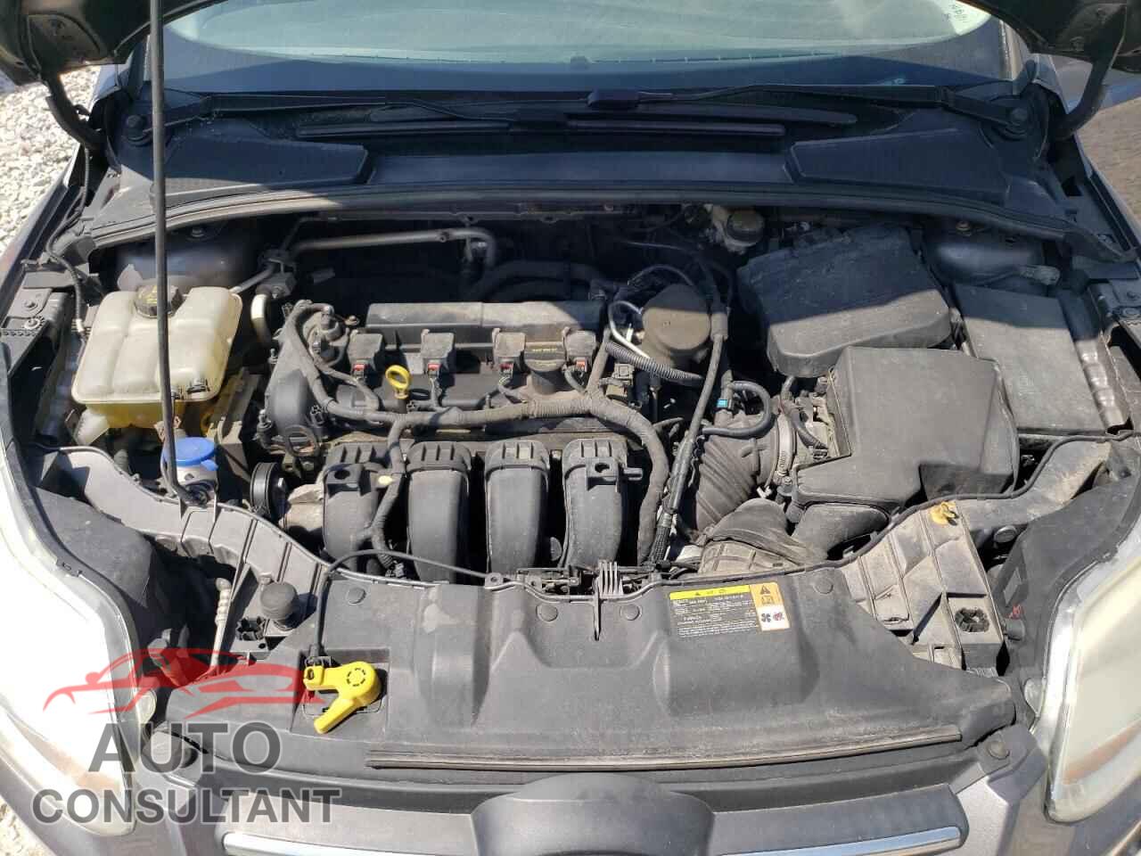 FORD FOCUS 2014 - 1FADP3F22EL128470
