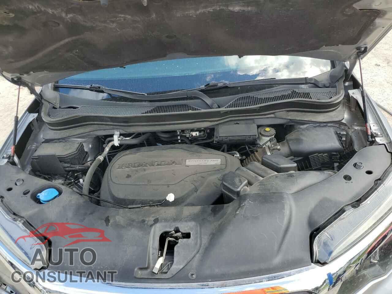HONDA RIDGELINE 2019 - 5FPYK2F68KB005706
