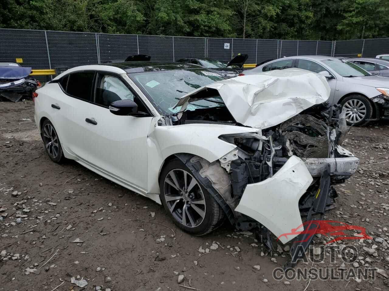 NISSAN MAXIMA 2016 - 1N4AA6AP8GC447299