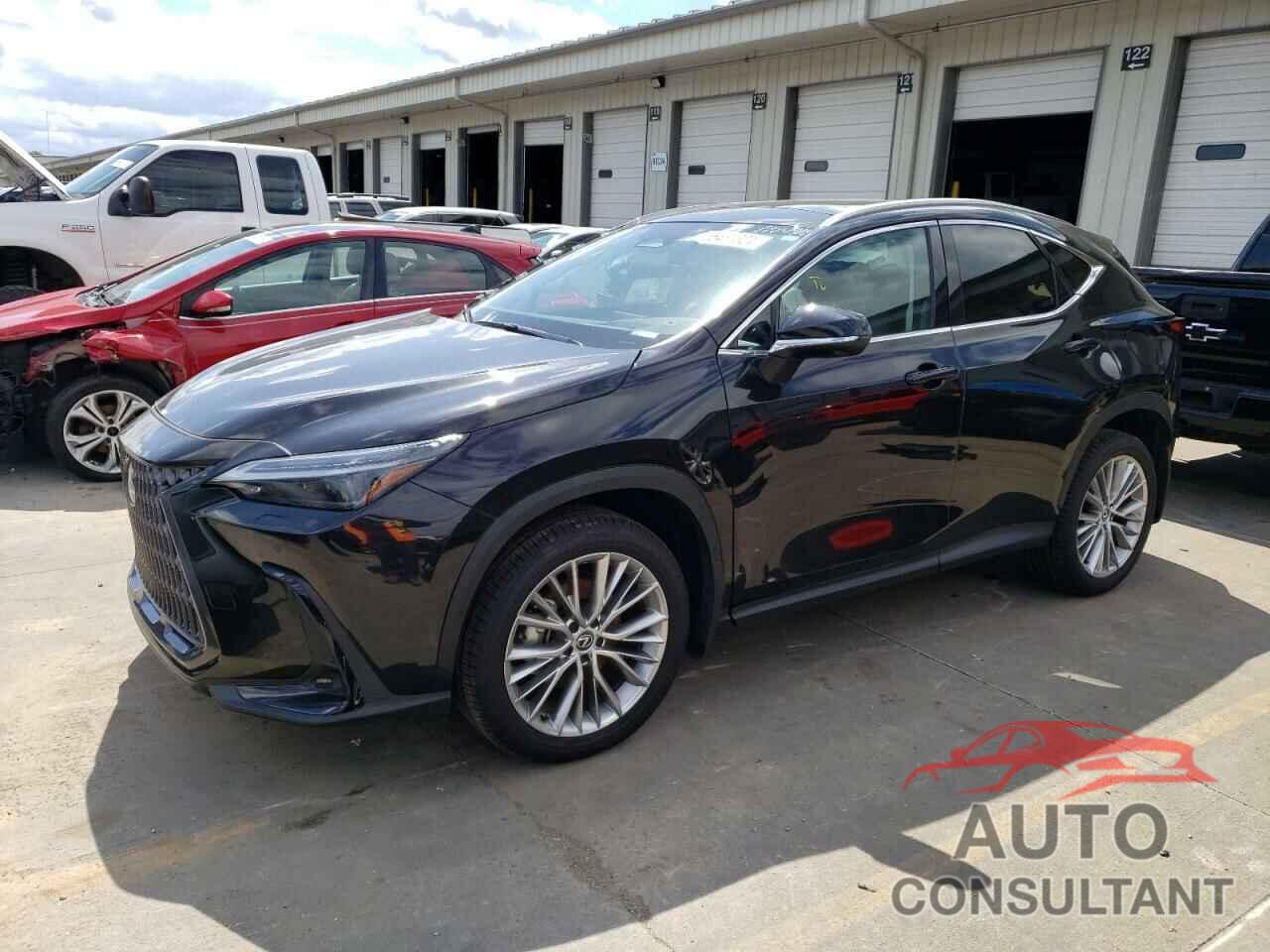 LEXUS NX 350 LUX 2024 - 2T2HGCEZ2RC039677