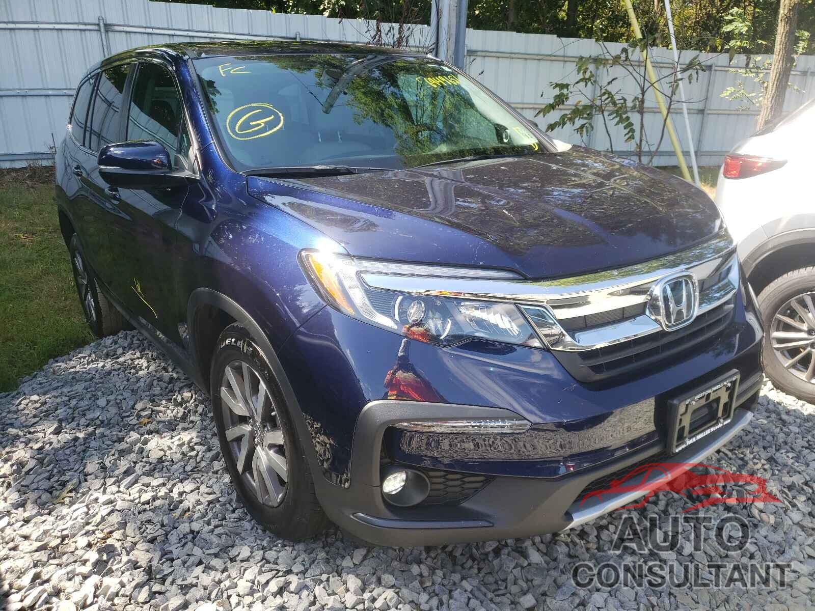HONDA PILOT 2021 - 5FNYF6H54MB013135