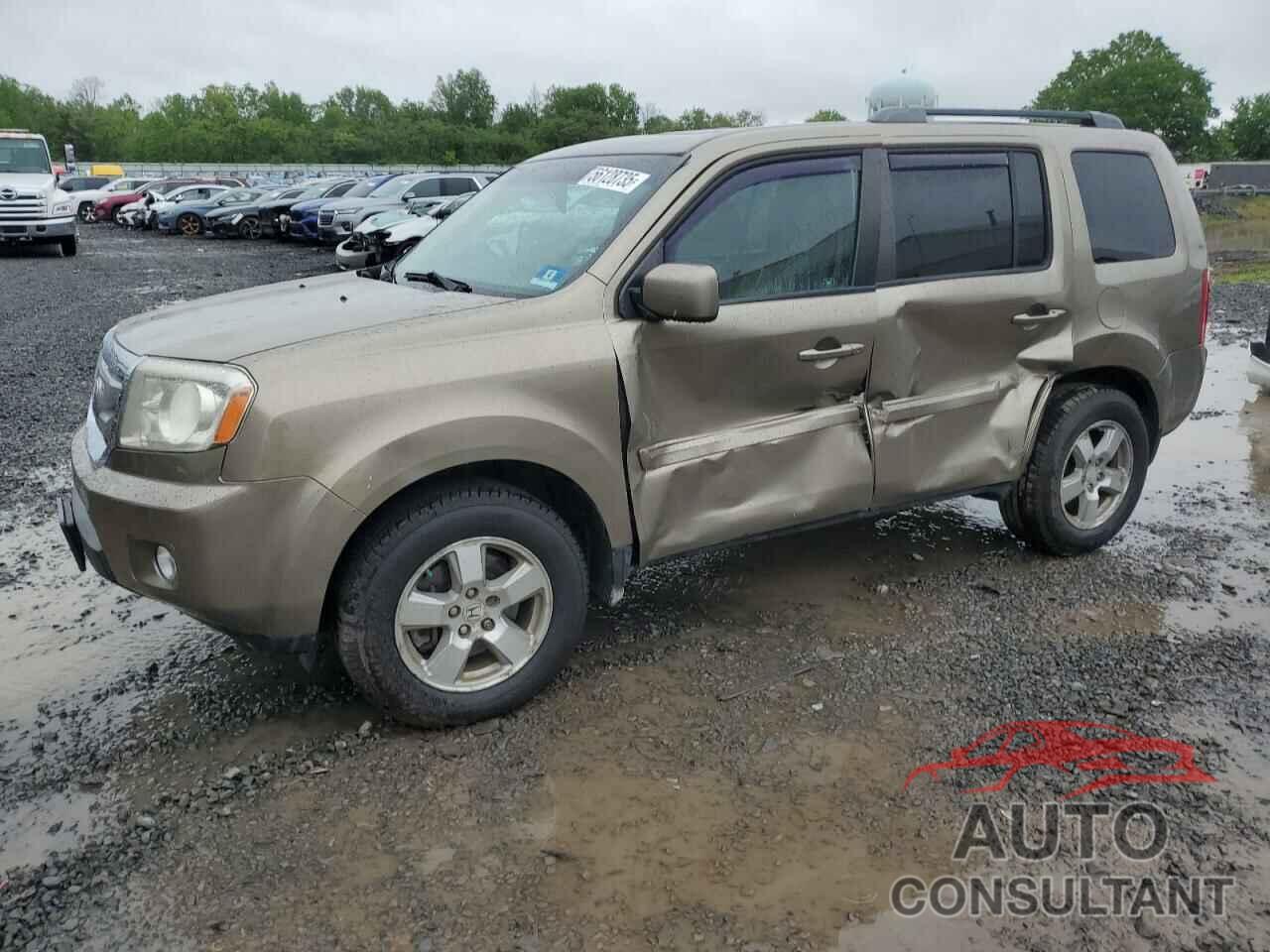 HONDA PILOT 2011 - 5FNYF4H71BB097031