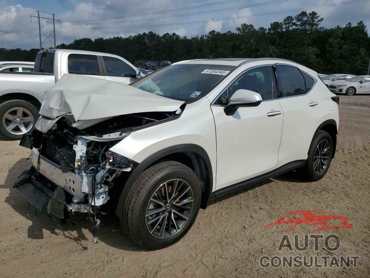 LEXUS NX 250 PRE 2024 - JTJGDCAZ0R2014142
