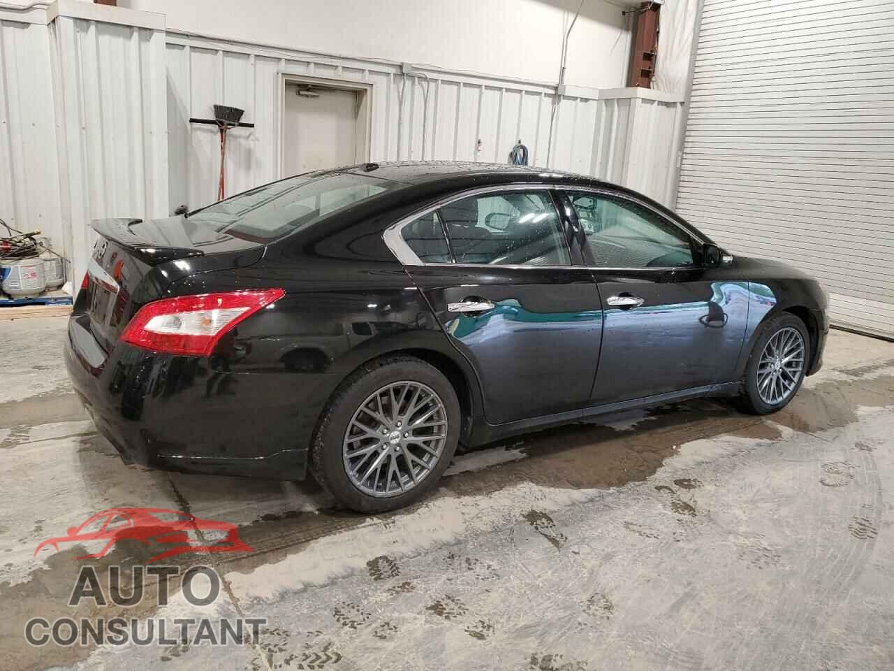 NISSAN MAXIMA 2011 - 1N4AA5AP4BC865359