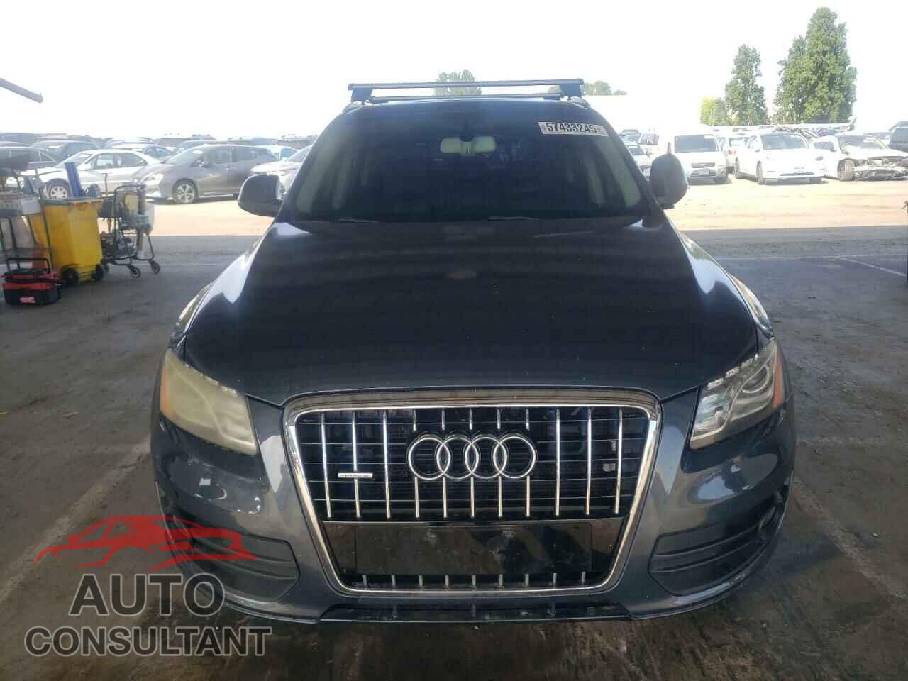 AUDI Q5 2010 - WA1LKAFP2AA084815