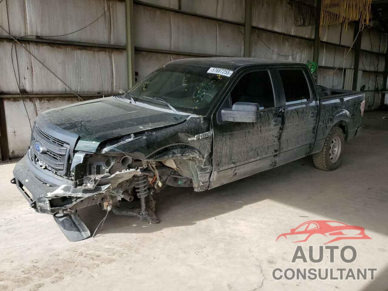 FORD F-150 2014 - 1FTFW1EF8EKG36320
