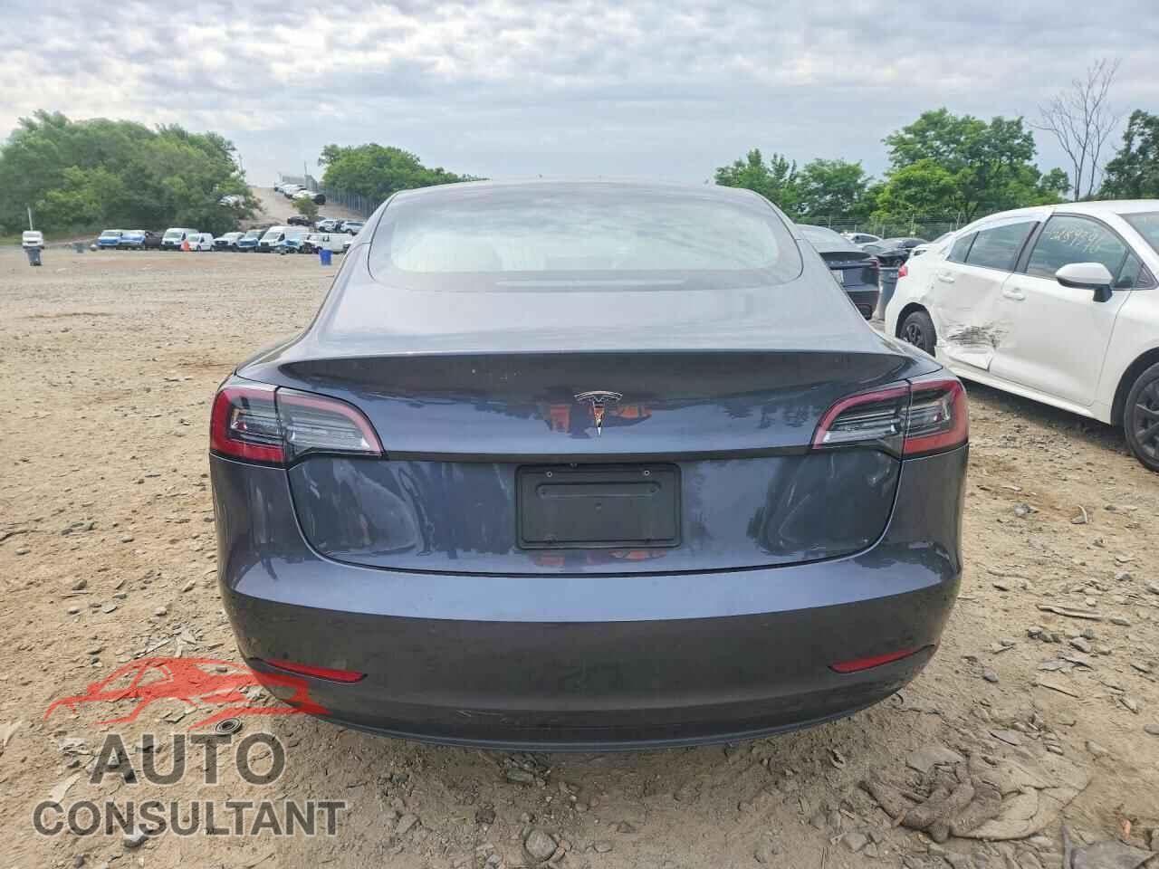 TESLA MODEL 3 2019 - 5YJ3E1EA3KF436299