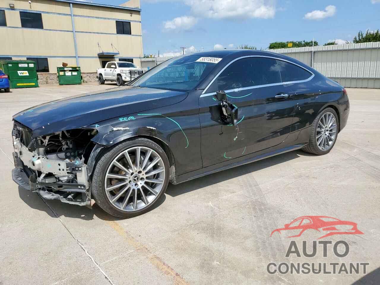MERCEDES-BENZ C-CLASS 2019 - WDDWJ8DB1KF843731